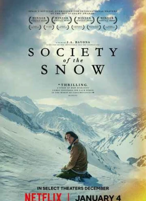 Общество снега