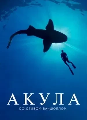 Акула со Стивом Бакшоллом 1 сезон 2021