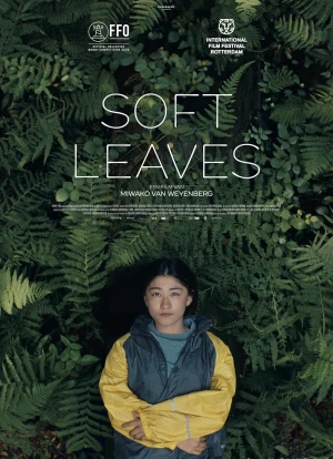 Нежные листья