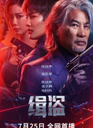 Поймать воров 2025